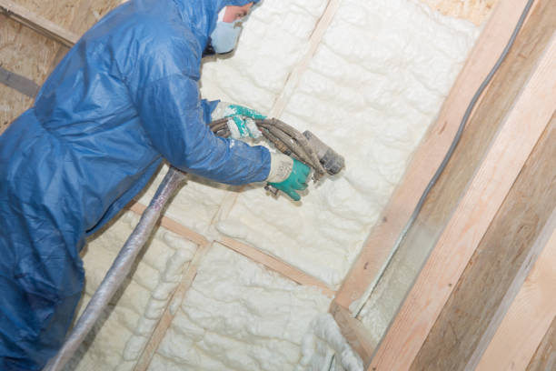 Best Insulation Replacement  in USA